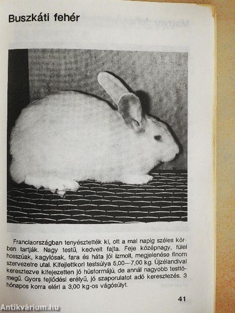 A húsnyúl tenyésztése