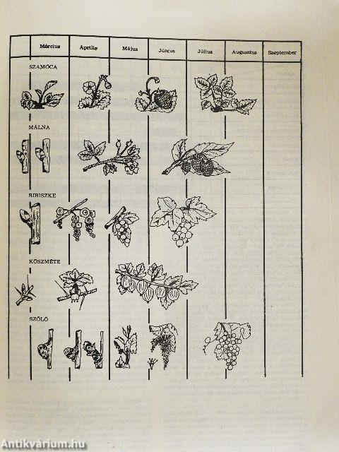 Kertbarátok, kistermelők tájékoztatója