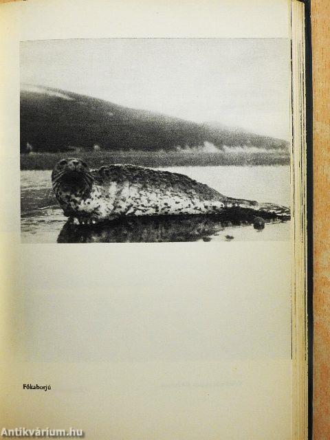 Alaszkában vadásztam