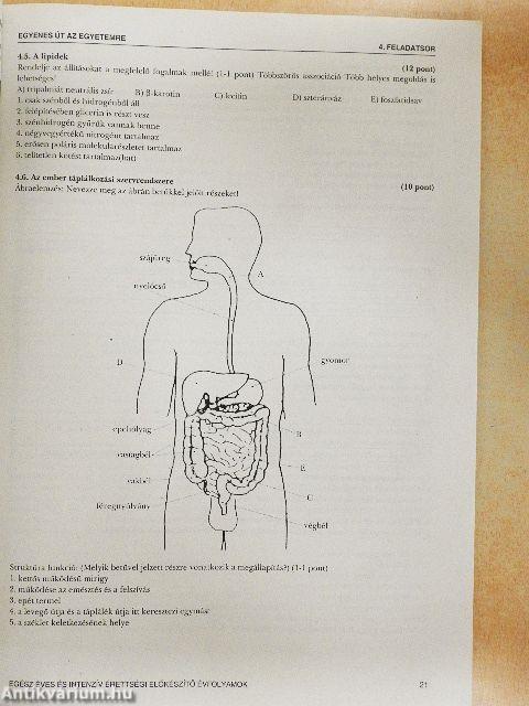 A kétszintű biológia érettségi próbaérettségi nagykönyve
