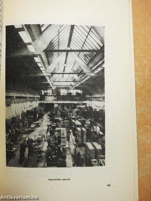 Nehézipari Műszaki Egyetem