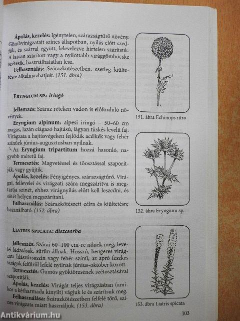 Dísznövényismeret