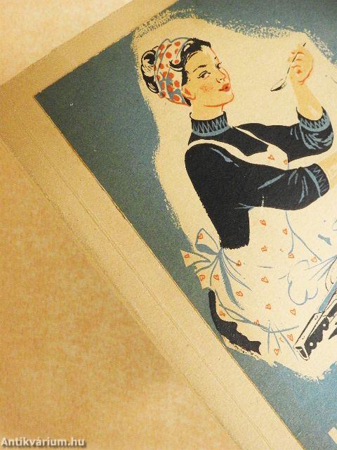 Háztartási tanácsadó