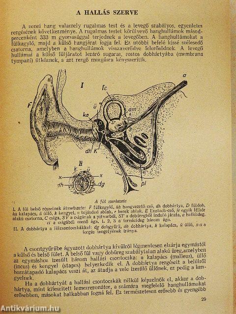 Az énektanítás pedagógiája