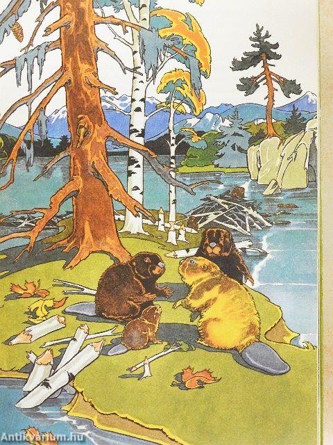 Hogyan győzte le a jaguárt a teknős?