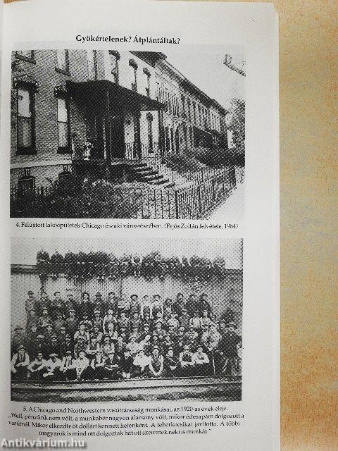 A chicagói magyarok két nemzedéke 1890-1940