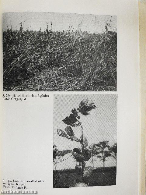 Jégesők, jégkárok, védekezés, biztosítás