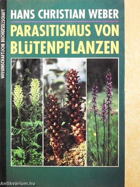 Parasitismus von Blütenpflanzen