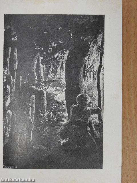 A szkipetárok földjén