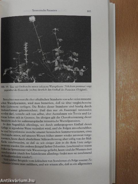 Parasitismus von Blütenpflanzen