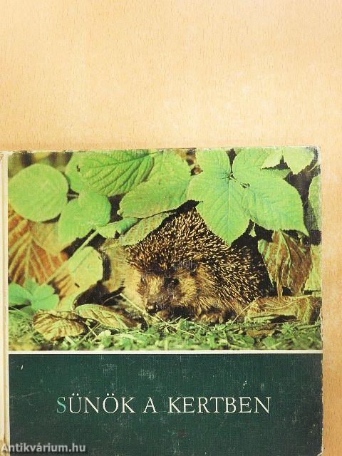 Sünök a kertben