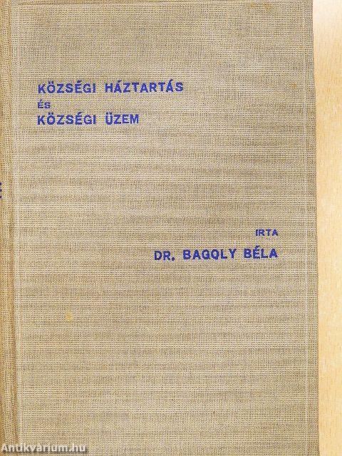 Községi háztartás és községi üzem