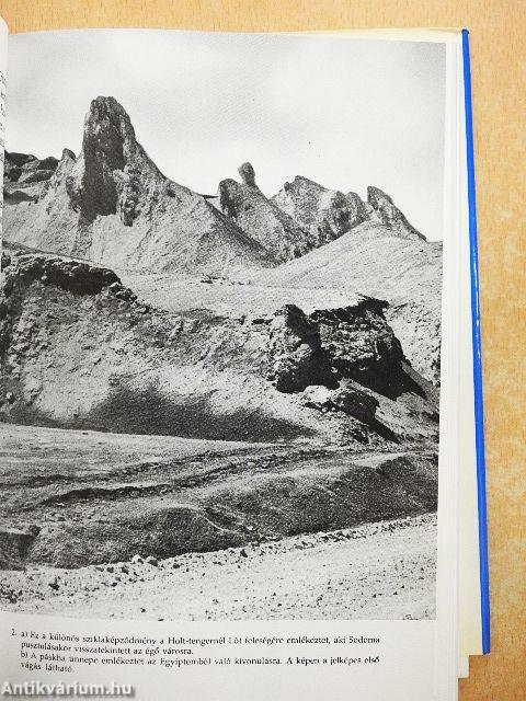 Pátriárkák és próféták