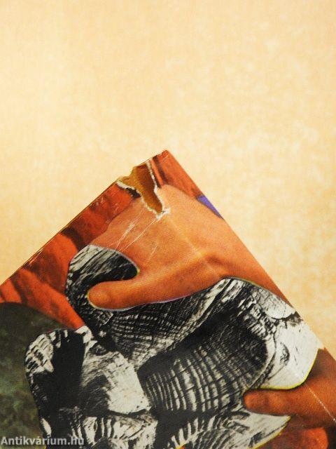 A Diadalív árnyékában