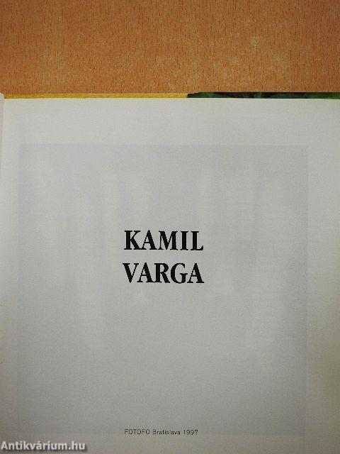 Kamil Varga