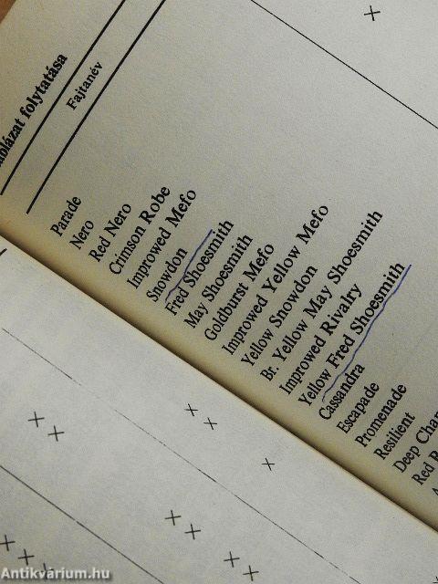 Egész évben krizantém