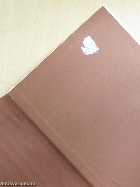 A rendíthetetlen ólomkatona