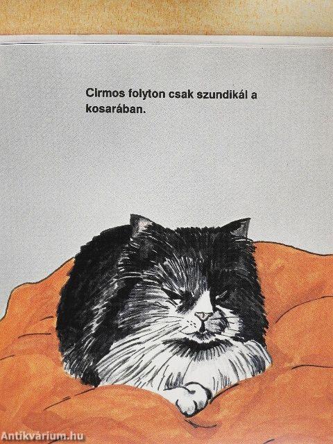 A baba első könyve