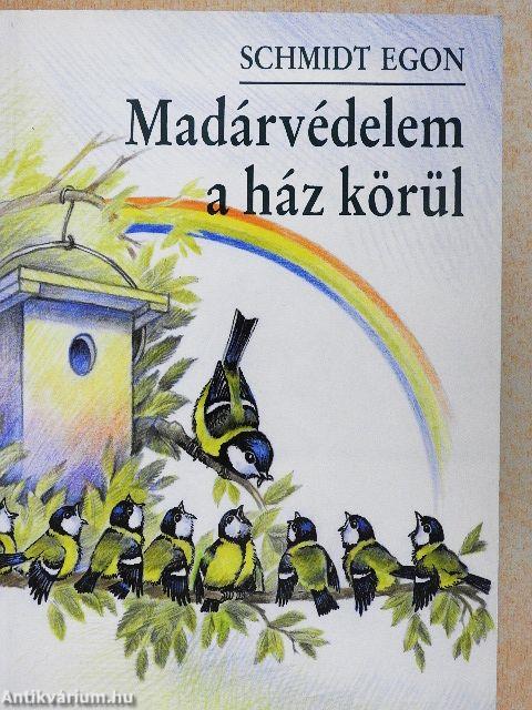 Madárvédelem a ház körül