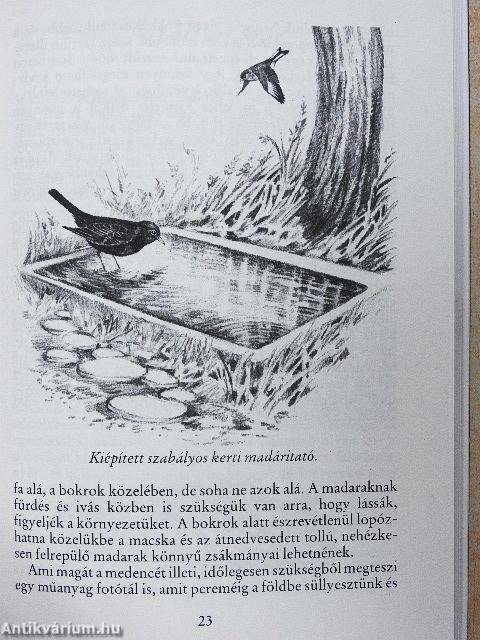 Madárvédelem a ház körül