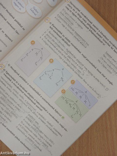 Sokszínű magyar nyelv 8.