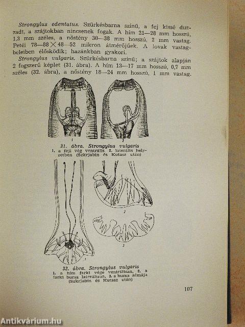 Állatorvosi parazitológiai diagnosztika
