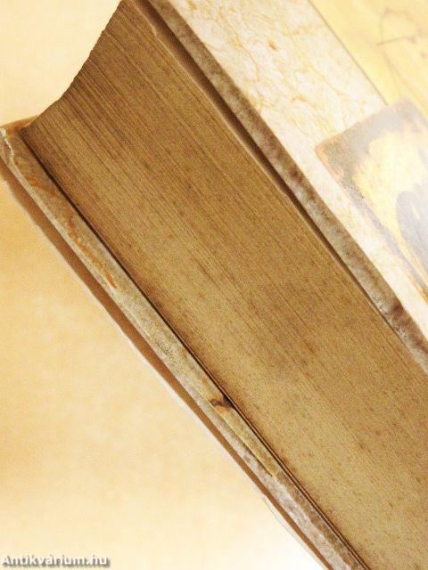 Leonardo, az első tudós