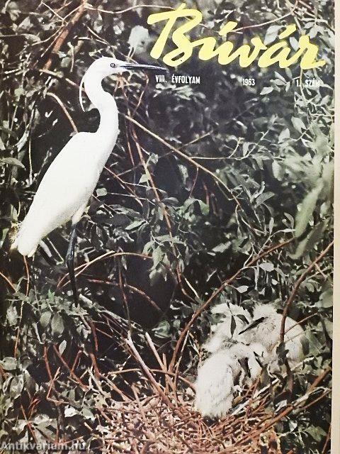 Búvár 1963. január-december