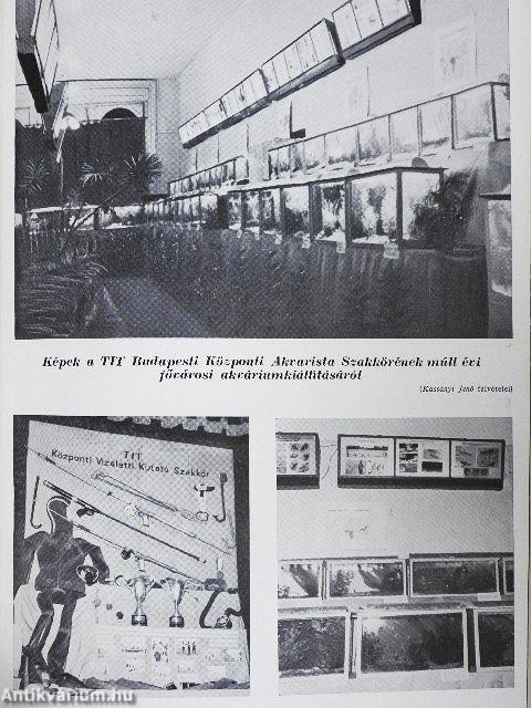 Búvár 1963. január-december