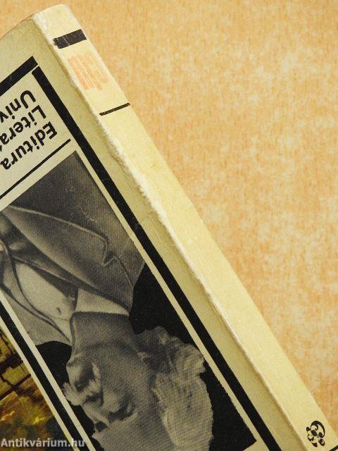 Aventurile lui Huckleberry Finn