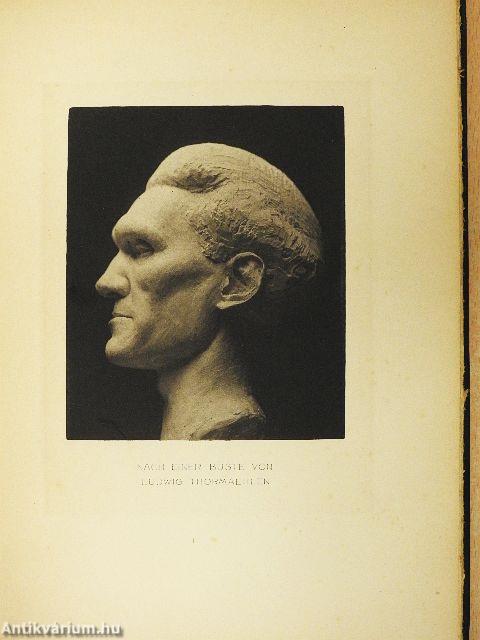 Der Stern des Bundes