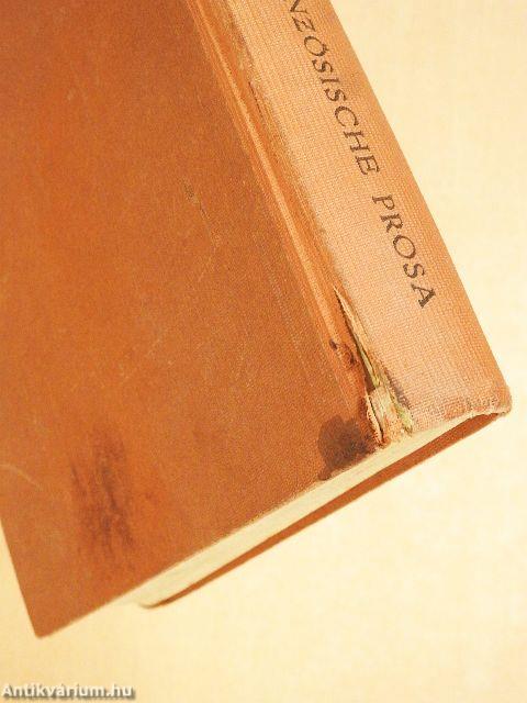 Die Moderne Französische Prosa