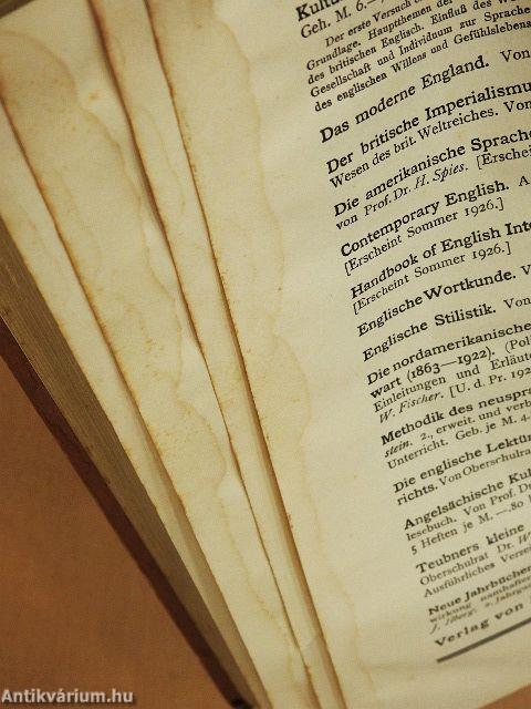 Die Moderne Französische Prosa