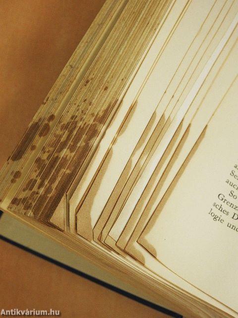 Stendhal oder das Leben eines Egotisten