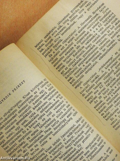 Orvos voltam Auschwitzban