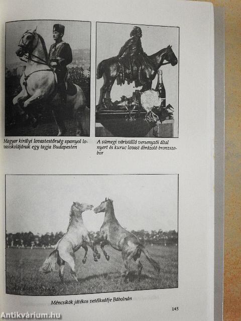 Lovashagyományok Pápán és környékén