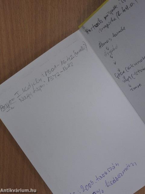 Az Árpádok és alattvalóik