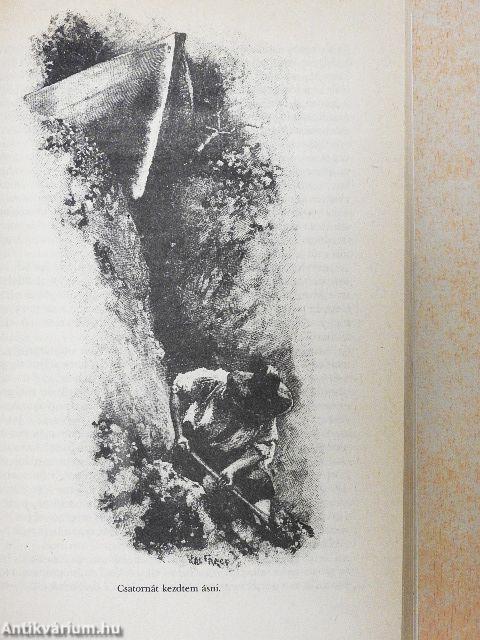 A teljes Nagy Robinson