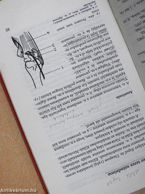 Alagút-szindrómák