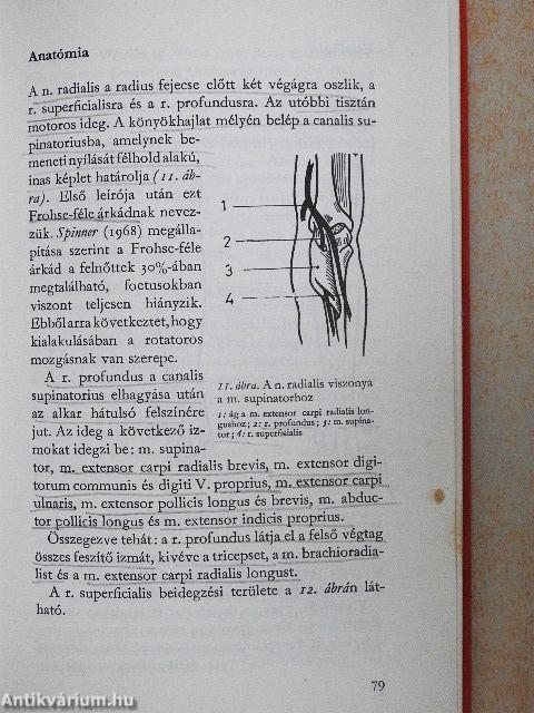 Alagút-szindrómák