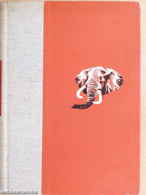 Afrikai tábortüzek