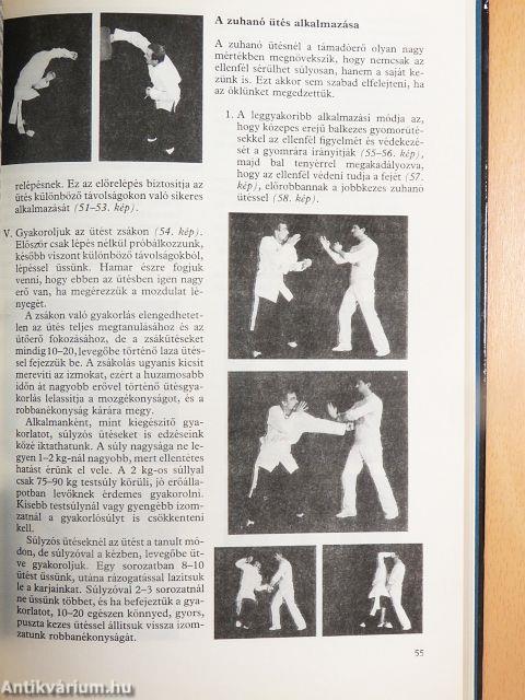 Kung fu-technikák és edzésmódszerek