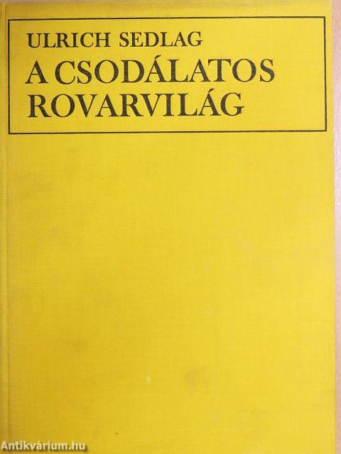 A csodálatos rovarvilág