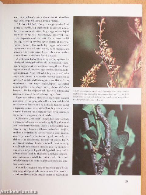 A csodálatos rovarvilág