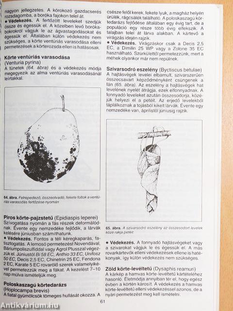 A növényvédelem ábécéje