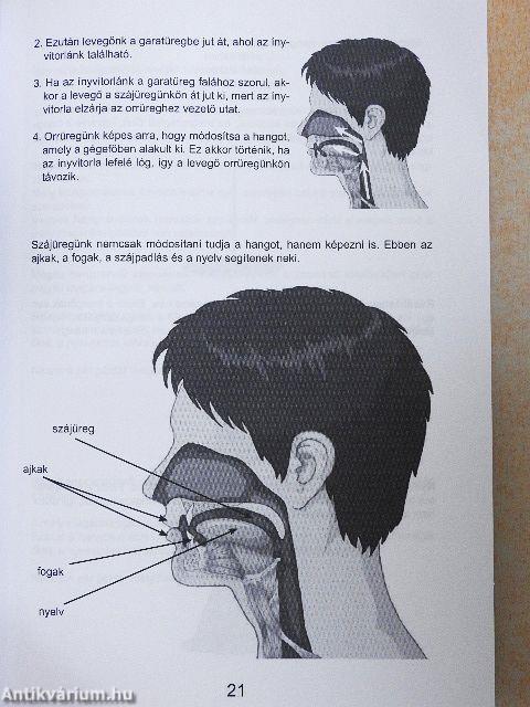 A magyar nyelvtan alapjai