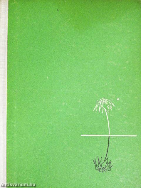 Izrael, az ígéretek földje