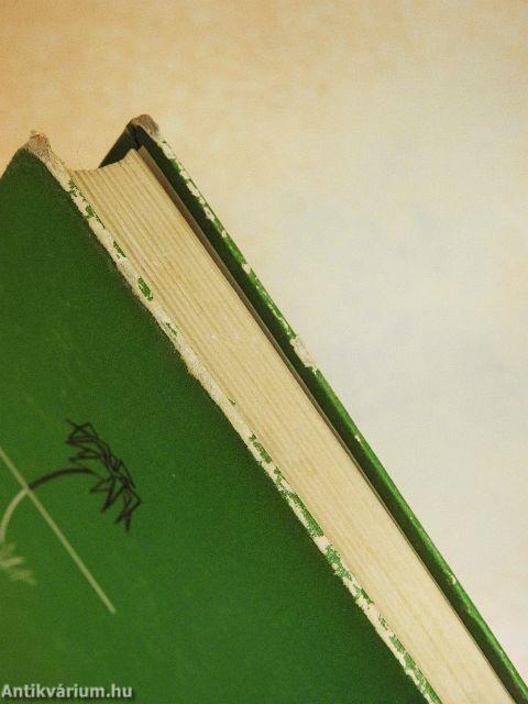 Izrael, az ígéretek földje