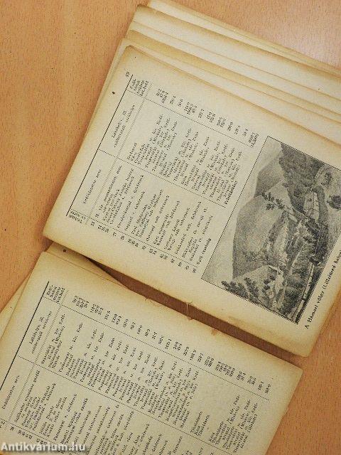 Bükk (rossz állapotú)