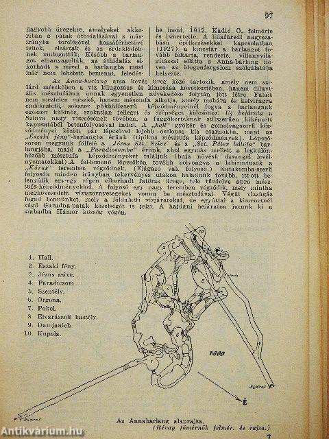 Bükk (rossz állapotú)